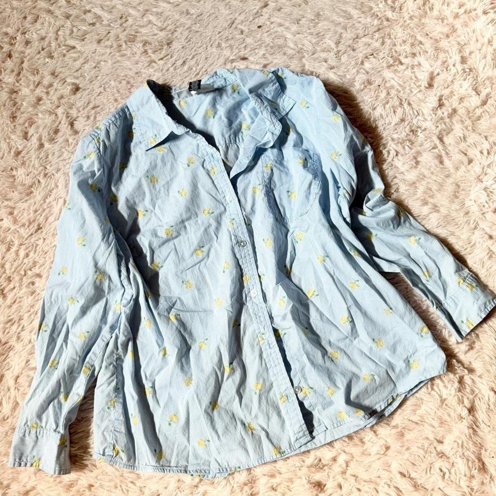 Dainty Delicate Coquette Twee Soft‎ Girl Picnic Whimsical Button Down Womens XL